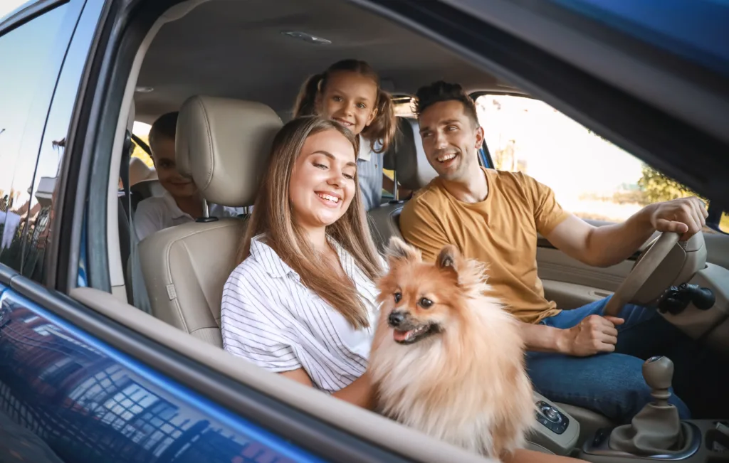 Family car 800 600
